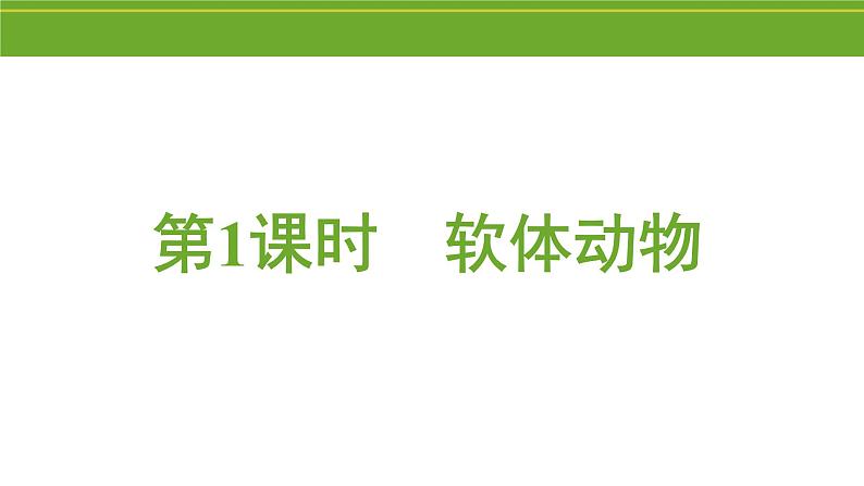 八年级人教版生物学课件2软体动物和节肢动物02