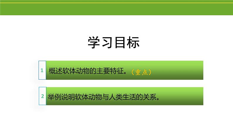 八年级人教版生物学课件2软体动物和节肢动物03