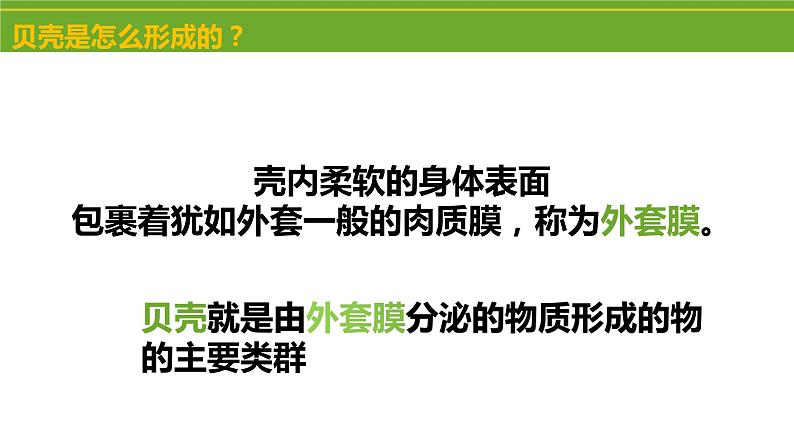 八年级人教版生物学课件2软体动物和节肢动物07