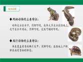 八年级人教版生物学课件2鸟