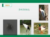 八年级人教版生物学课件2鸟