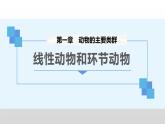 八年級(jí)人教版生物學(xué)課件八年級(jí)人教版生物2線形動(dòng)物和環(huán)節(jié)動(dòng)物