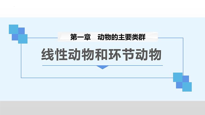 八年级人教版生物学课件八年级人教版生物2线形动物和环节动物01