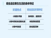 八年級(jí)人教版生物學(xué)課件八年級(jí)人教版生物2線形動(dòng)物和環(huán)節(jié)動(dòng)物