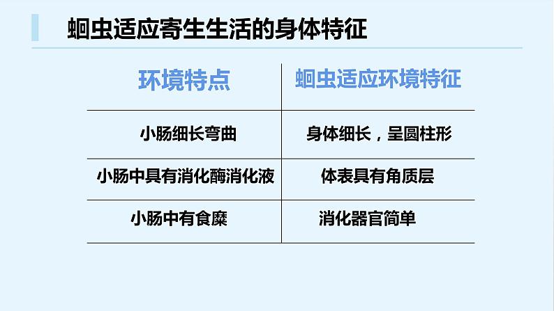 八年级人教版生物学课件八年级人教版生物2线形动物和环节动物04