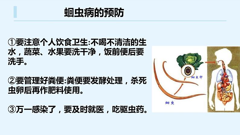 八年级人教版生物学课件八年级人教版生物2线形动物和环节动物07