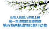 八年级人教版生物学课件八年级人教版生物两栖动物和爬行动物