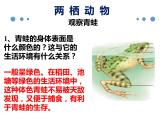 八年级人教版生物学课件八年级人教版生物两栖动物和爬行动物