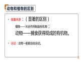 八年级人教版生物学课件腔肠动物和扁形动物