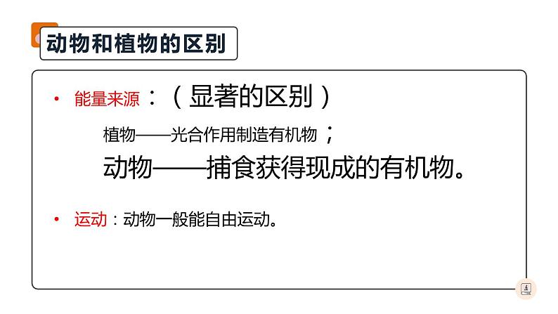 八年级人教版生物学课件腔肠动物和扁形动物第2页