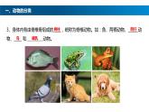 八年级人教版生物学课件鱼