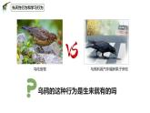 八年级人教版生物学课件3先天性行为和学习行为