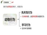 八年级人教版生物学课件3先天性行为和学习行为