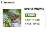 八年级人教版生物学课件3先天性行为和学习行为
