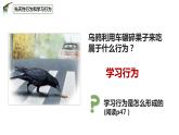 八年级人教版生物学课件3先天性行为和学习行为