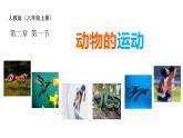 八年级人教版生物学课件第1节 动物的运动