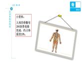 八年级人教版生物学课件第1节 动物的运动