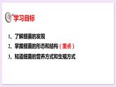 八年级人教版生物学课件5.4.2细菌（公开课）