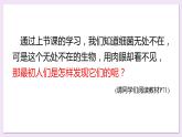 八年级人教版生物学课件5.4.2细菌（公开课）