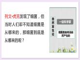 八年级人教版生物学课件5.4.2细菌（公开课）