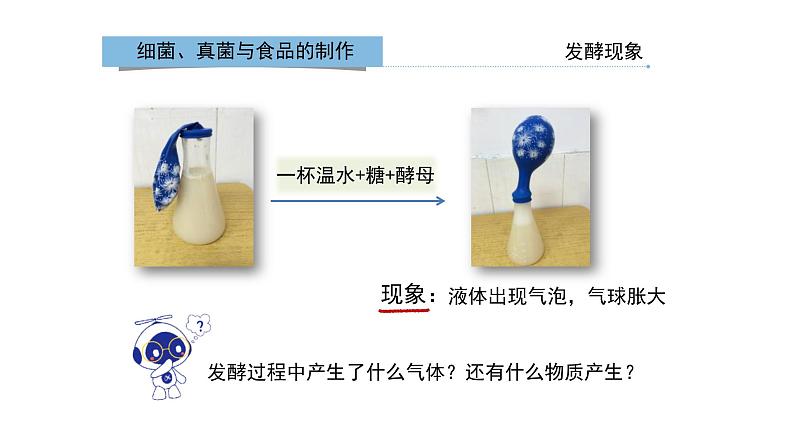 八年级人教版生物学课件人类对细菌和真菌的利用07