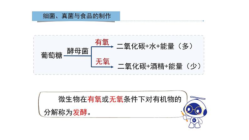 八年级人教版生物学课件人类对细菌和真菌的利用08