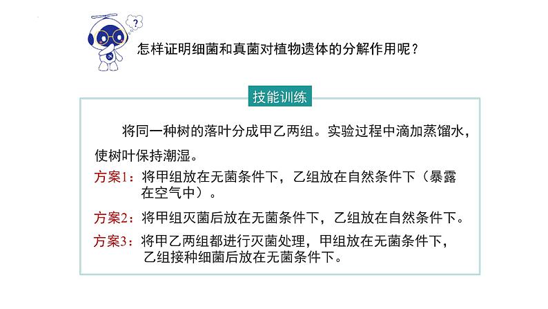 八年级人教版生物学课件细菌和真菌在自然界中的作用06