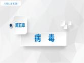 八年级人教版生物学课件病毒