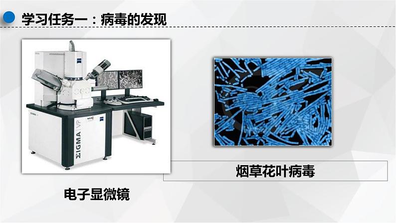 八年级人教版生物学课件病毒08