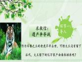 八年级人教版生物学课件4从种到界
