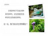 八年級人教版生物學課件2認識生物的多樣性