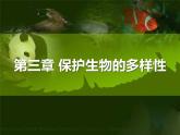 八年级人教版生物学课件6.3保护生物的多样性
