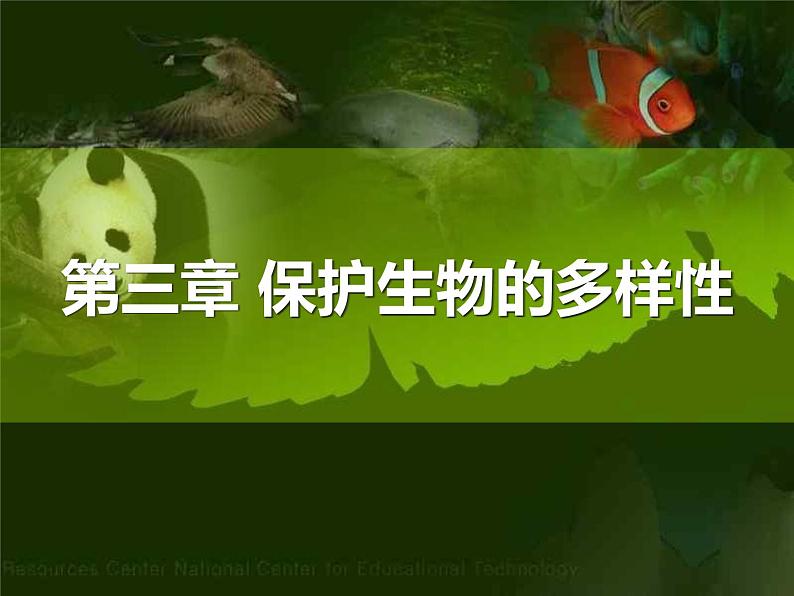 八年级人教版生物学课件6.3保护生物的多样性01