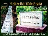 八年级人教版生物学课件6.3保护生物的多样性
