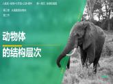 【人教版】七上生物  1.3.2 动物体的结构层次（课件+练习）
