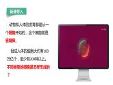 【人教版】七上生物  1.3.2 动物体的结构层次（课件+练习）