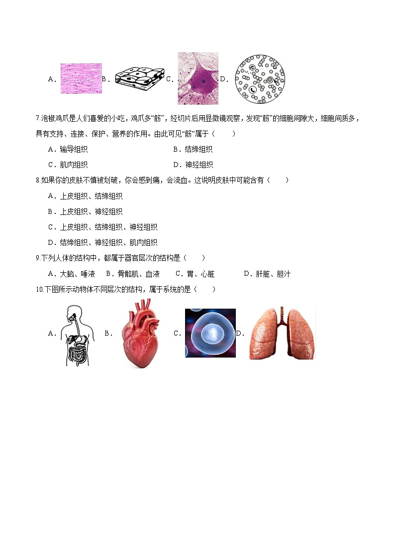 【人教版】七上生物  1.3.2 动物体的结构层次（课件+练习）02