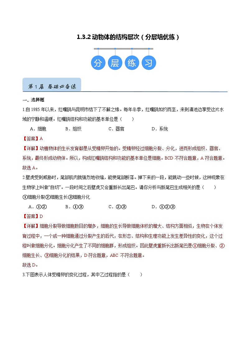 【人教版】七上生物  1.3.2 动物体的结构层次（课件+练习）01