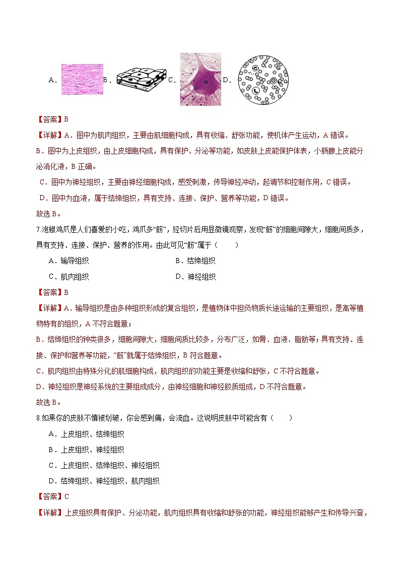 【人教版】七上生物  1.3.2 动物体的结构层次（课件+练习）03