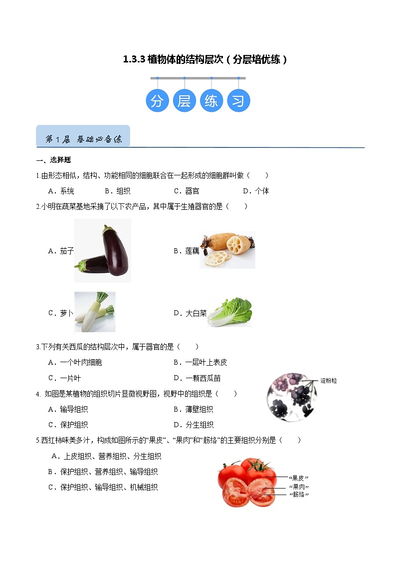 【人教版】七上生物  1.3.3 植物体的结构层次（课件+练习）01