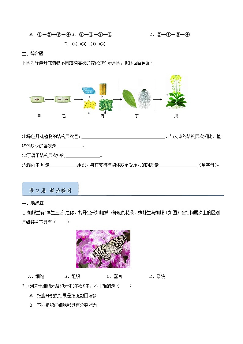 【人教版】七上生物  1.3.3 植物体的结构层次（课件+练习）03