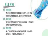 【人教版】七上生物  1.3.4 单细胞生物（课件+练习）