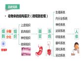 【人教版】七上生物  1.3.4 单细胞生物（课件+练习）