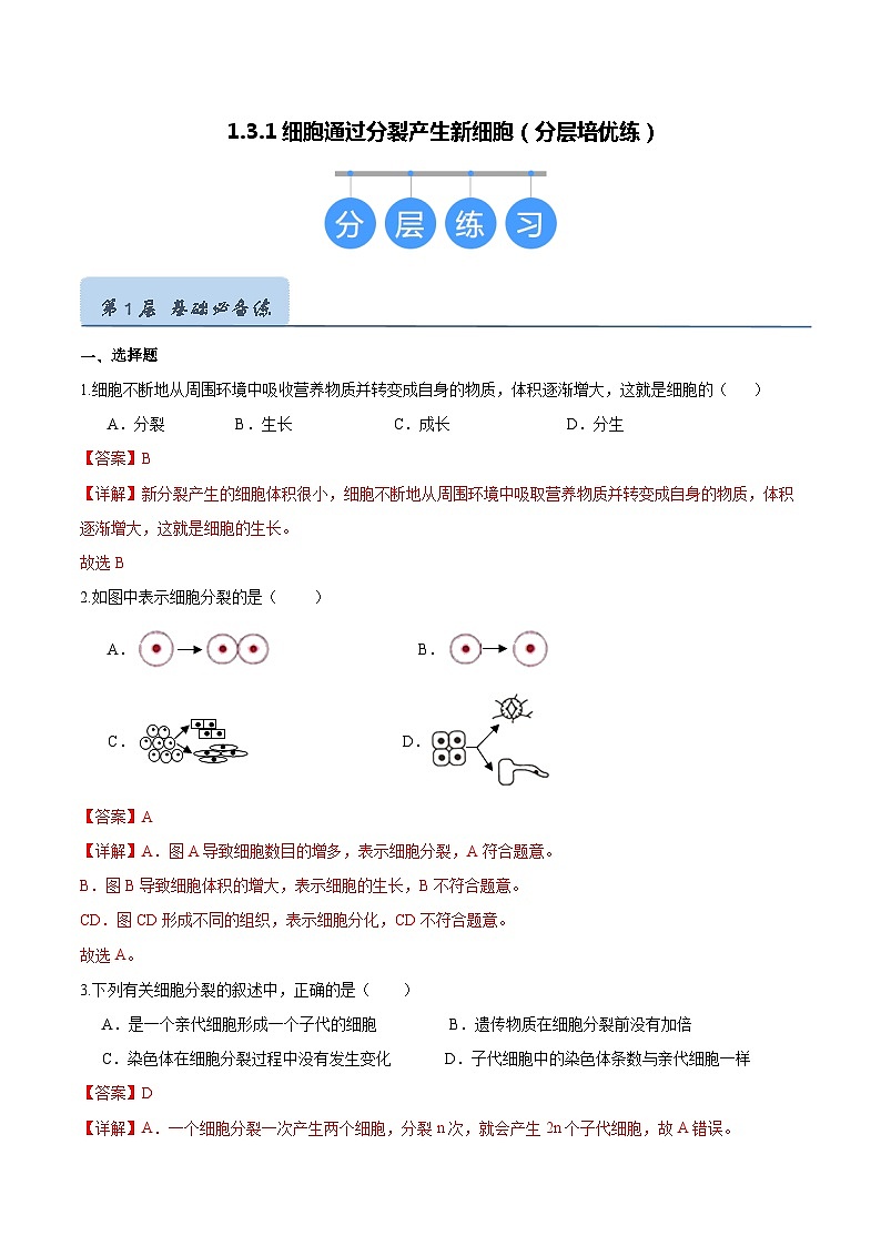 【人教版】七上生物  1.3.1 细胞通过分裂产生新细胞（课件+练习）01