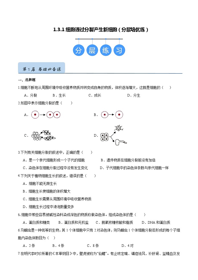 【人教版】七上生物  1.3.1 细胞通过分裂产生新细胞（课件+练习）01