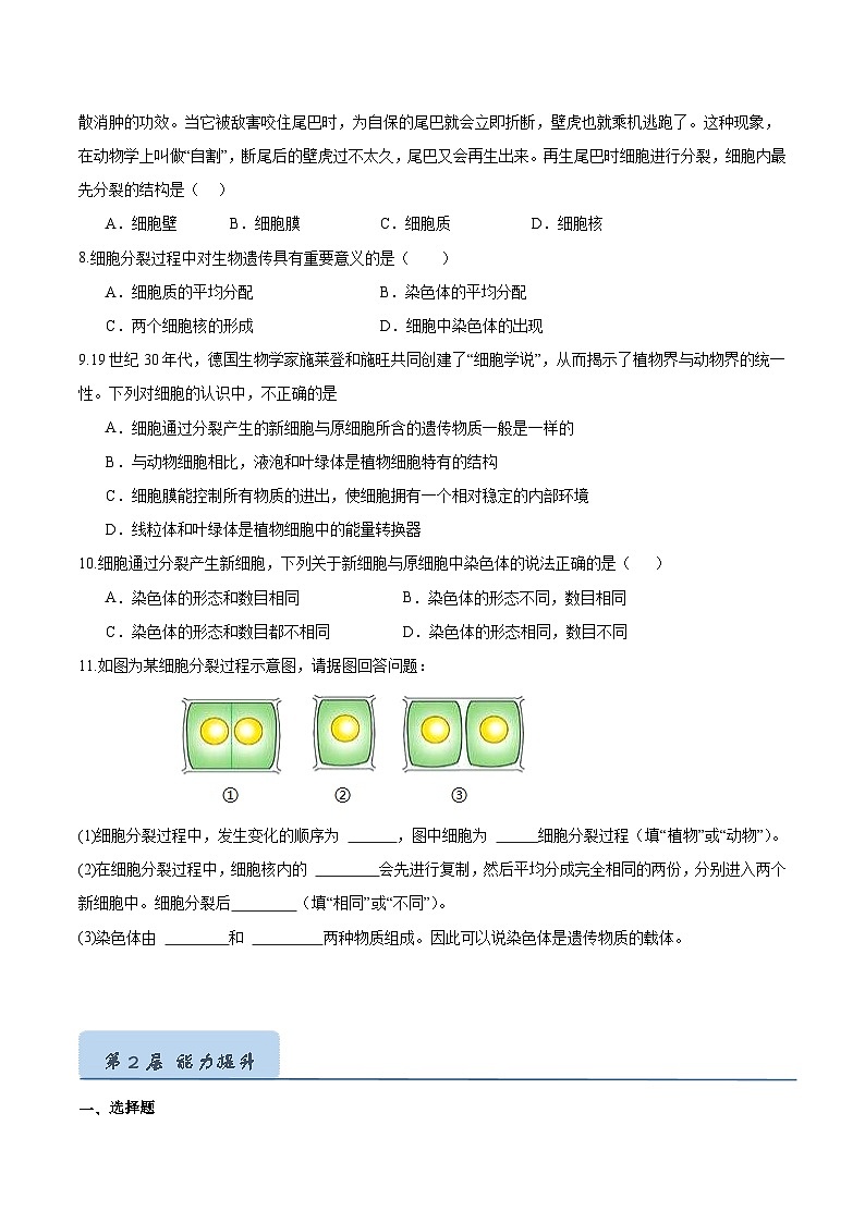 【人教版】七上生物  1.3.1 细胞通过分裂产生新细胞（课件+练习）02