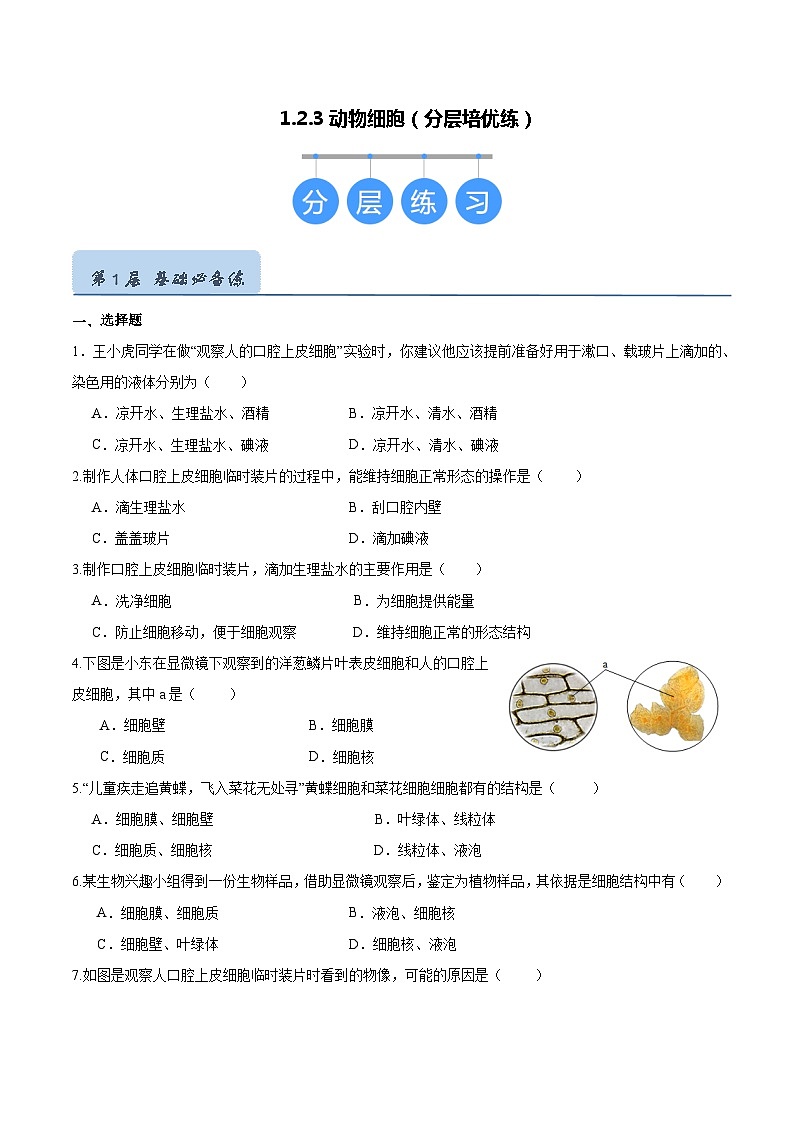 【人教版】七上生物  1.2.3 动物细胞（课件+练习）01