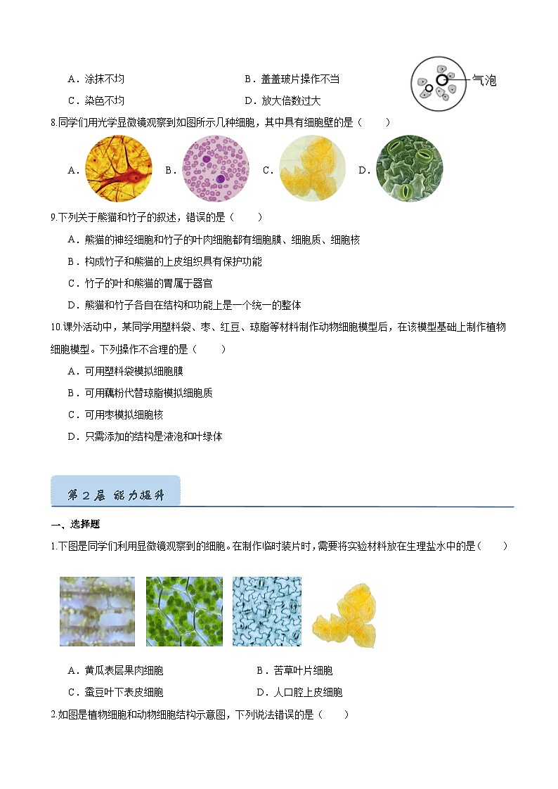 【人教版】七上生物  1.2.3 动物细胞（课件+练习）02