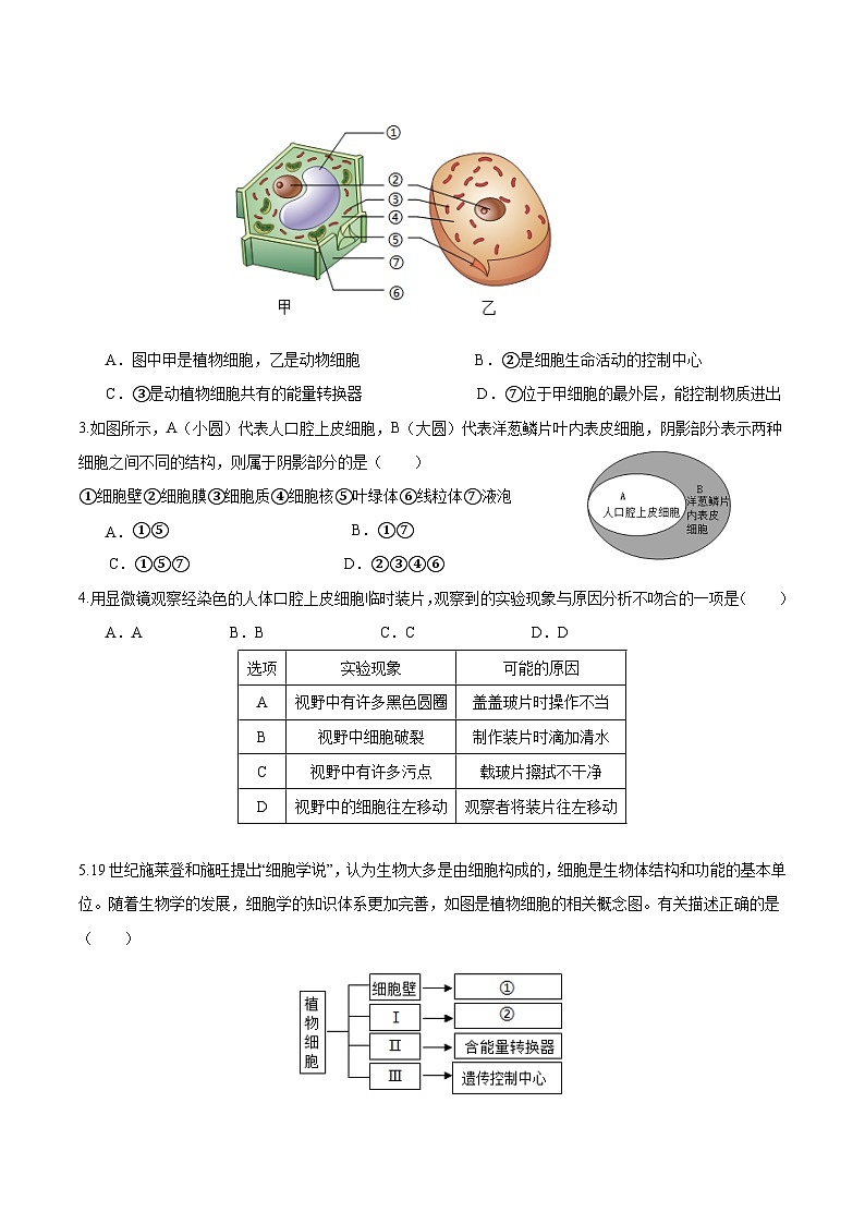 【人教版】七上生物  1.2.3 动物细胞（课件+练习）03