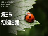 【人教版】七上生物  1.2.3 动物细胞（课件+练习）